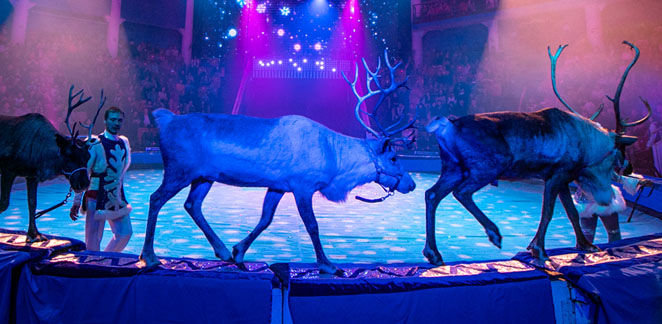 Государственный цирк Республики Саха (Якутия) имени Марфы и Сергея Расторгуевых стал первым прошедшим лицензирование Россельхознадзора цирком в Якутии